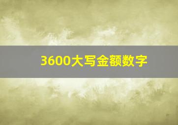 3600大写金额数字