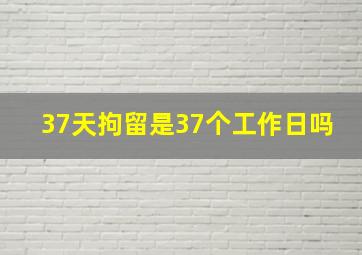 37天拘留是37个工作日吗