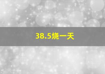 38.5烧一天