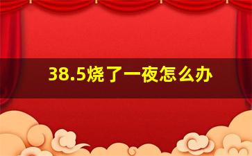 38.5烧了一夜怎么办