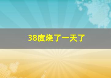 38度烧了一天了