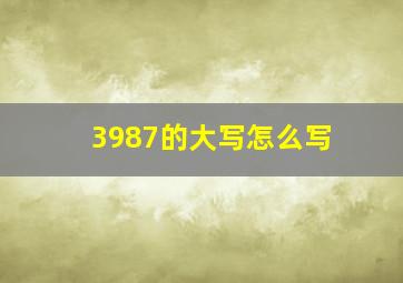 3987的大写怎么写