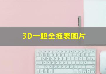 3D一胆全拖表图片