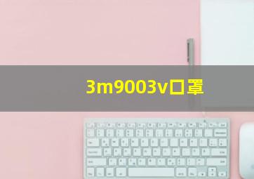 3m9003v口罩