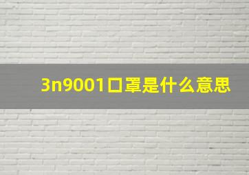 3n9001口罩是什么意思