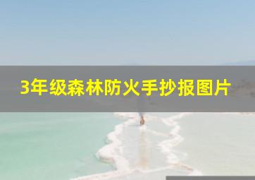 3年级森林防火手抄报图片