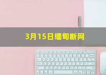 3月15日缅甸断网