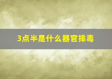 3点半是什么器官排毒