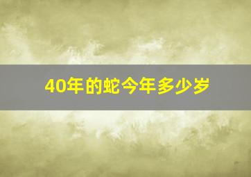 40年的蛇今年多少岁