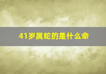 41岁属蛇的是什么命