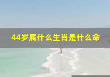 44岁属什么生肖是什么命