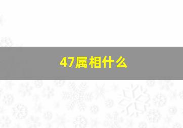 47属相什么