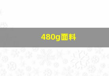 480g面料