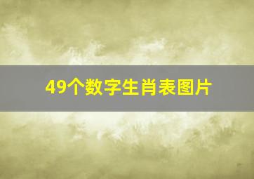 49个数字生肖表图片