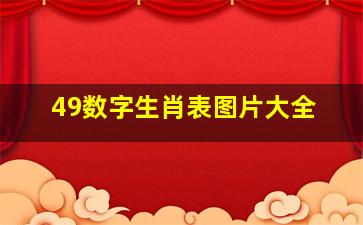 49数字生肖表图片大全