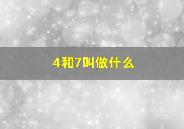 4和7叫做什么