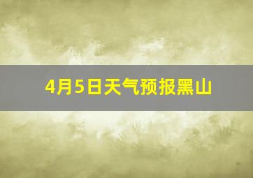 4月5日天气预报黑山