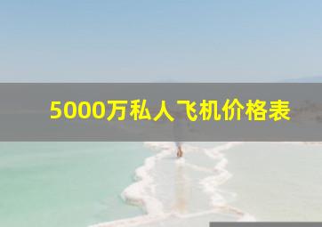 5000万私人飞机价格表