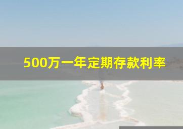 500万一年定期存款利率