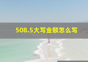 508.5大写金额怎么写