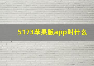 5173苹果版app叫什么