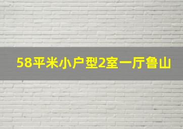 58平米小户型2室一厅鲁山