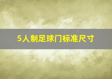 5人制足球门标准尺寸