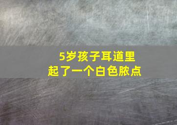 5岁孩子耳道里起了一个白色脓点