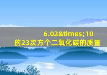 6.02×10的23次方个二氧化碳的质量