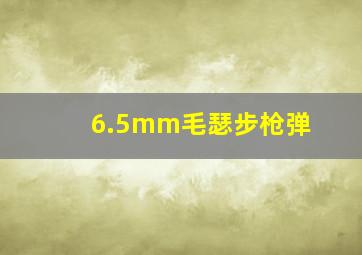 6.5mm毛瑟步枪弹