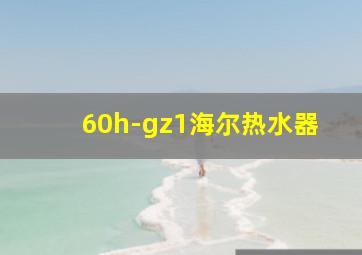 60h-gz1海尔热水器