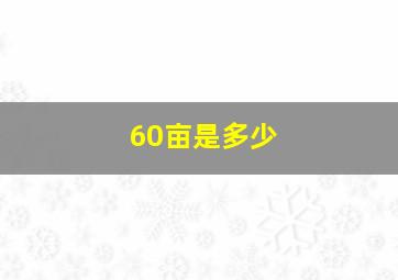 60亩是多少