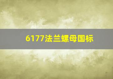 6177法兰螺母国标