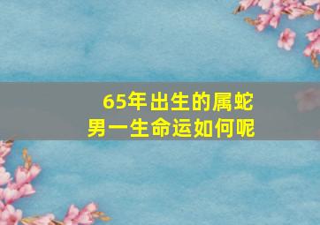 65年出生的属蛇男一生命运如何呢