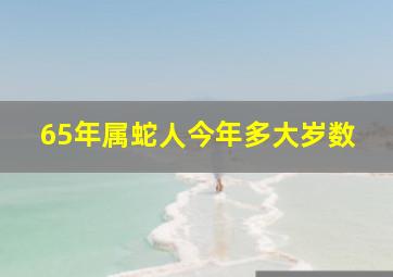 65年属蛇人今年多大岁数