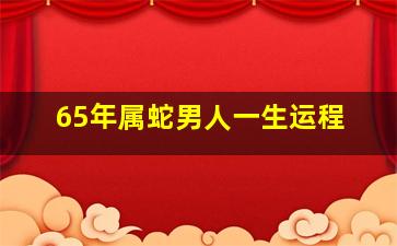 65年属蛇男人一生运程