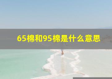 65棉和95棉是什么意思