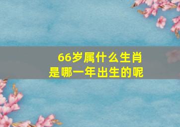 66岁属什么生肖是哪一年出生的呢