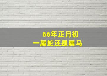 66年正月初一属蛇还是属马