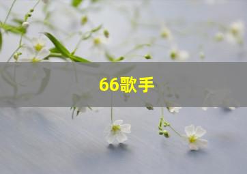 66歌手