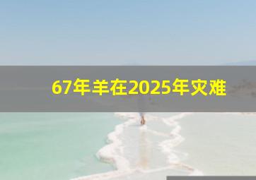 67年羊在2025年灾难