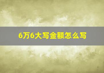 6万6大写金额怎么写