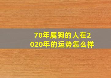 70年属狗的人在2020年的运势怎么样