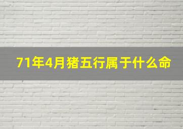 71年4月猪五行属于什么命