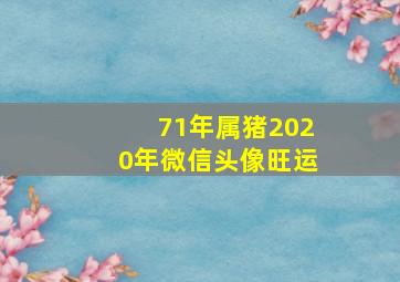 71年属猪2020年微信头像旺运