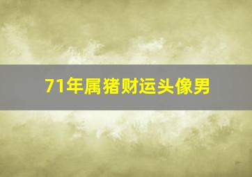 71年属猪财运头像男