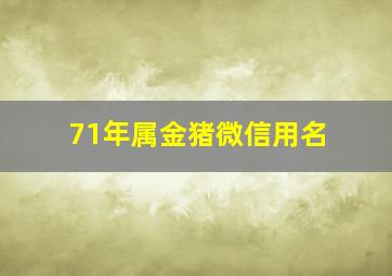 71年属金猪微信用名