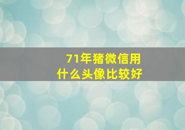 71年猪微信用什么头像比较好