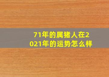 71年的属猪人在2021年的运势怎么样