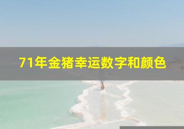 71年金猪幸运数字和颜色